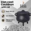 imageSOUL STICKS Reusable 6 Cast Iron Cauldron with Lid and Hanging Handle for Spell Casting Smudging Ritual ampamp Blessings Pot Belly Witchcraft Triple MoonTree of Life