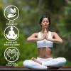 imageSelenite Crystal Bowls for Smudging Healing Recharging Crystals  Pure Selenite Smudge Bowl ampamp Crystal Charging Station Ethically Sourced in Morocco 5 Inch Pack of 16 Inch