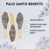 imageSoul Sticks 2 Pack Palo Santo Pops  Sacred Wood Incense Sticks for Cleansing Meditation ampamp Aromatherapy  Natural Scented Smudging Sticks with Herbs Resin and Palo Santo Powder  White Sage7 Chakras