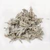 imageSOUL STICKS California White Sage Organic Loose Clusters Leaves Bulk for Cleansing Purification Meditation Smudging and Negativity Clearing 1 oz4 oz