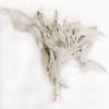 imageSOUL STICKS California White Sage Organic Loose Clusters Leaves Bulk for Cleansing Purification Meditation Smudging and Negativity Clearing 1 oz8 oz