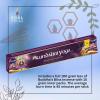 imageSOUL STICKS HandRolled Incense Sticks Mystic Spirit Blends 180 Gram 12 Pack Box  100 Natural Masala Incense Organic Home Fragrance Agarbatti Tibetan MonasteryKundalini Yoga Incense