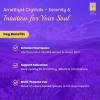 imageSOUL STICKS Thick Handcrafted Incense Sticks Spicy Cinnamon Scented Includes 5 Crystals 20g Thick HerbDipped Sticks Bundle Ideal for Aromatherapy Cleansing ampamp RelaxationFrench Lavender Incense Sticks