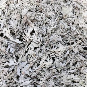 imageSOUL STICKS California White Sage Organic Loose Clusters Leaves Bulk for Cleansing Purification Meditation Smudging and Negativity Clearing 1 oz1 oz
