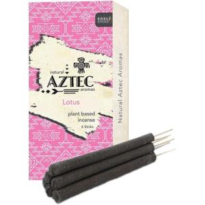 imageSoul Sticks Aztec Cinnamon Resin Incense Sticks 90 Hrs Burn Time  100 Natural HandRolled ampamp SlowBurning 6 Pcs Artisan Blend for Yoga Meditation Relaxation Aromatherapy SandalwoodLotus