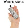 imageAncient VEDA Palo Santo Sticks Premium Grade from Peru  Sacred Wood for Smudging Meditation Cleansing ampamp Yoga Harmony KitMini Smudge Kit