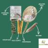 imageAncient VEDA Sage Smudge Kit  Cedar Sweetgrass ampamp Palo Santo Sticks Smudging Kit for Meditation Yoga Reiki Home Cleansing ampamp Aromatherapy Starter Kit Cedar SageCedar Sage