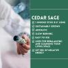 imageAncient VEDA Sage Smudge Kit  Cedar Sweetgrass ampamp Palo Santo Sticks Smudging Kit for Meditation Yoga Reiki Home Cleansing ampamp Aromatherapy Starter Kit Cedar SageCedar Sage