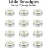 imageSOUL STICKS 12 Pack Little Smudgies Tealight Candles Smudge Candle for Cleansing House Meditation Chakra Healing  Made with Crystals and Herbs White Sage ampamp PeppermintWhite Sage  Cinnamon