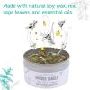 imageSOUL STICKS 2 Piece Smudge Kit Set Bundle  Smudge Candle ampamp Smudge Spray for Cleansing Meditation Healing Aromatherapy White Sage ampamp PeppermintWhite Sage  Eucalyptus