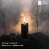 imageSOUL STICKS 4quot Scented Ritual Candles Chime Taper Premium Candles 20 pcs for Rituals Ceremonies Meditation Altar and Spells GrayLemongrassBlack  Myrrh Ritual Candles