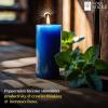 imageSOUL STICKS 4quot Scented Ritual Candles Chime Taper Premium Candles 20 pcs for Rituals Ceremonies Meditation Altar and Spells GrayLemongrassBlue  Peppermint Ritual Candles