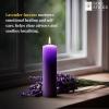 imageSOUL STICKS 4quot Scented Ritual Candles Chime Taper Premium Candles 20 pcs for Rituals Ceremonies Meditation Altar and Spells GrayLemongrassIndigo  Lavender Ritual Candles