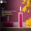 imageSOUL STICKS 4quot Scented Ritual Candles Chime Taper Premium Candles 20 pcs for Rituals Ceremonies Meditation Altar and Spells GrayLemongrassMagenta  Ylang ylang Ritual Candles