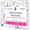imageSOUL STICKS 4quot Scented Ritual Candles Chime Taper Premium Candles 20 pcs for Rituals Ceremonies Meditation Altar and Spells GrayLemongrassMagenta  Ylang ylang Ritual Candles