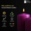 imageSOUL STICKS 4quot Scented Ritual Candles Chime Taper Premium Candles 20 pcs for Rituals Ceremonies Meditation Altar and Spells GrayLemongrassPurple  Violet Ritual Candles