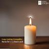 imageSOUL STICKS 4quot Scented Ritual Candles Chime Taper Premium Candles 20 pcs for Rituals Ceremonies Meditation Altar and Spells GrayLemongrassWhite  Frankincense Ritual Candles