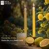 imageSOUL STICKS 4quot Scented Ritual Candles Chime Taper Premium Candles 20 pcs for Rituals Ceremonies Meditation Altar and Spells GrayLemongrassYellow  Bergamot Ritual Candles