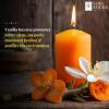 imageSOUL STICKS 4quot Scented Ritual Candles Chime Taper Premium Candles 20 pcs for Rituals Ceremonies Meditation Altar and Spells OrangeVanilla
