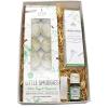 imageSOUL STICKS Aroma Smudge Kit  Gift Set with Little Smudgies Candles Smudge Spray Essential Oil and 2 Selenite Wand in White Gift Box EucalyptusPeppermint