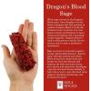 imageSOUL STICKS Beginners Mini Smudge Kit Includes White Sage 34 Abalone Shell Selenite Wand and Palo Santo with Smudging Guide Blue SageDragons Blood