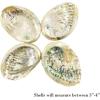 imageSOUL STICKS Beginners Mini Smudge Kit Includes White Sage 34 Abalone Shell Selenite Wand and Palo Santo with Smudging Guide Blue SageSage