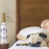 imageSOUL STICKS Cleansing Water 75 oz Bottle for Clearing Negative Energy and Purifying Home Palo SantoWhite Sage