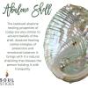 imageSOUL STICKS Floral Sage Smudge Kit  Gift Set with 2 Floral White Sage Smudge Sticks Smudge Shell Palo Santo Stick 4 Selenite Wand and Sweetgrass Rainbow with YellowRainbow With Yellow