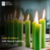 imageSOUL STICKS Love Magic Spell Chime Taper Candles 20 Pack  Ideal for Altar Rituals Ceremonies Meditation Red Colored Candle for Witchcraft Supplies Wiccan Supplies and Tools Candle ClearanceSuccess Light Green Chime Candles