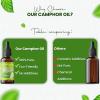 imageSOUL STICKS Natural Camphor Essential Oil 4 Fl Oz 120ml 100 Natural Camphor Oil with Glass Dropper for Aromatherapy Puja Massage Skin Care