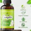 imageSOUL STICKS Natural Camphor Essential Oil 4 Fl Oz 120ml 100 Natural Camphor Oil with Glass Dropper for Aromatherapy Puja Massage Skin Care