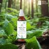 imageSOUL STICKS Palo Santo ampamp Sandalwood Smudge Spray For Cleansing and Negative Energy  35oz Palo Santo Spray with Real Quartz Crystals  Sage Room Spray for Spiritual Cleansing and Purifying Home CarWhite Sage  Patchouli Smudge Spray