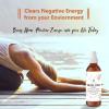 imageSOUL STICKS Palo Santo ampamp Sandalwood Smudge Spray For Cleansing and Negative Energy  35oz Palo Santo Spray with Real Quartz Crystals  Sage Room Spray for Spiritual Cleansing and Purifying Home CarPalo Santo Smudge Spray