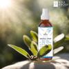 imageSOUL STICKS Palo Santo ampamp Sandalwood Smudge Spray For Cleansing and Negative Energy  35oz Palo Santo Spray with Real Quartz Crystals  Sage Room Spray for Spiritual Cleansing and Purifying Home CarWhite Sage  Nag Champa Smudge Spray