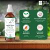 imageSOUL STICKS Palo Santo ampamp Sandalwood Smudge Spray For Cleansing and Negative Energy  35oz Palo Santo Spray with Real Quartz Crystals  Sage Room Spray for Spiritual Cleansing and Purifying Home CarWhite Sage  Patchouli Smudge Spray