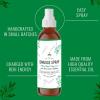 imageSOUL STICKS Palo Santo ampamp Sandalwood Smudge Spray For Cleansing and Negative Energy  35oz Palo Santo Spray with Real Quartz Crystals  Sage Room Spray for Spiritual Cleansing and Purifying Home CarWhite Sage  Peppermint Smudge Spray