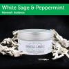 imageSOUL STICKS Smudge Candle for Cleansing House Meditation Chakra Healing Aromatherapy  35 Ounce Smudge Candle for Spiritual Cleansing White Sage ampamp Dragons BloodWhite Sage  Peppermint