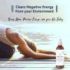 imageSOUL STICKS White Sage ampamp Nag Champa Smudge Spray  35oz Smokeless Cleansing Mist with Quartz Crystals  Spiritual Aromatherapy Spray for Meditation Yoga Home Energy Clearing ampamp RelaxationWhite Sage Smudge Spray