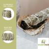 imageSoul Sticks Juniper Sage Smudge Sticks  4 Inch Organic for House Cleansing ampamp Blessing 3 PackPine