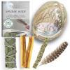 Eucalyptus Sage