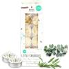 imageSOUL STICKS 12 Pack Little Smudgies Tealight Candles Smudge Candle for Cleansing House Meditation Chakra Healing  Made with Crystals and Herbs White Sage ampamp PeppermintWhite Sage  Eucalyptus
