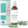 imageSOUL STICKS Palo Santo ampamp Sandalwood Smudge Spray For Cleansing and Negative Energy  35oz Palo Santo Spray with Real Quartz Crystals  Sage Room Spray for Spiritual Cleansing and Purifying Home CarWhite Sage  Eucalyptus Smudge Spray
