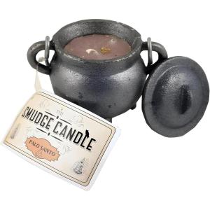 imageReusable 4Inch Cast Iron Cauldron Candle with Lid and Hanging Handle  Ritual ampamp Aromatherapy Candle for Spell Casting Smudging Home Cleansing  HerbInfused with Essential Oils EucalyptusPalo Santo