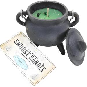 imageReusable 4Inch Cast Iron Cauldron Candle with Lid and Hanging Handle  Ritual ampamp Aromatherapy Candle for Spell Casting Smudging Home Cleansing  HerbInfused with Essential Oils EucalyptusEucalyptus