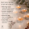 image:imageSoul Sticks 12 Pack Little Smudgies Tealight Candles Smudge Candle for Cleansing House Meditation Chakra Healing  Made with Crystals and Herbs White Sage amp CedarWhite Sage  Dragons Blood