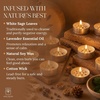 image:imageSoul Sticks 12 Pack Little Smudgies Tealight Candles Smudge Candle for Cleansing House Meditation Chakra Healing  Made with Crystals and Herbs White Sage amp CedarWhite Sage  Peppermint