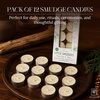 image:imageSoul Sticks 12 Pack Little Smudgies Tealight Candles Smudge Candle for Cleansing House Meditation Chakra Healing  Made with Crystals and Herbs White Sage amp CedarWhite Sage  Cedar