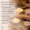 image:imageSoul Sticks 12 Pack Little Smudgies Tealight Candles Smudge Candle for Cleansing House Meditation Chakra Healing  Made with Crystals and Herbs White Sage amp CedarWhite Sage  Vanilla