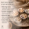 image:imageSoul Sticks 12 Pack Little Smudgies Tealight Candles Smudge Candle for Cleansing House Meditation Chakra Healing  Made with Crystals and Herbs White Sage amp Cedar7 Chakra