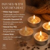image:imageSoul Sticks 12 Pack Little Smudgies Tealight Candles Smudge Candle for Cleansing House Meditation Chakra Healing  Made with Crystals and Herbs White Sage amp CedarWhite Sage  Cinnamon